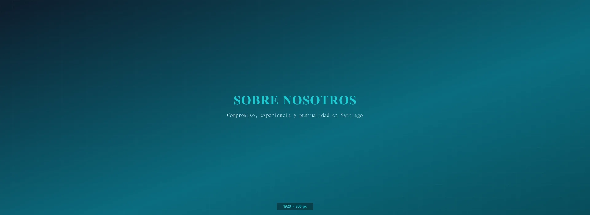 Equipo profesional de AseoSOS en Santiago