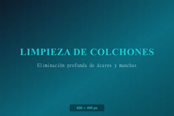 Limpieza de Colchones