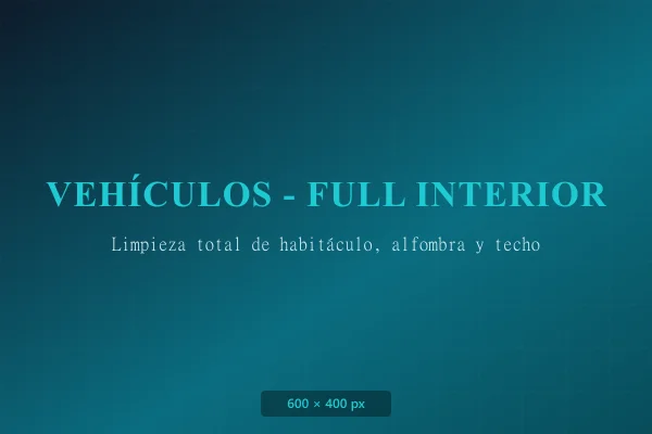 Limpieza de Vehículos - Full Interior
