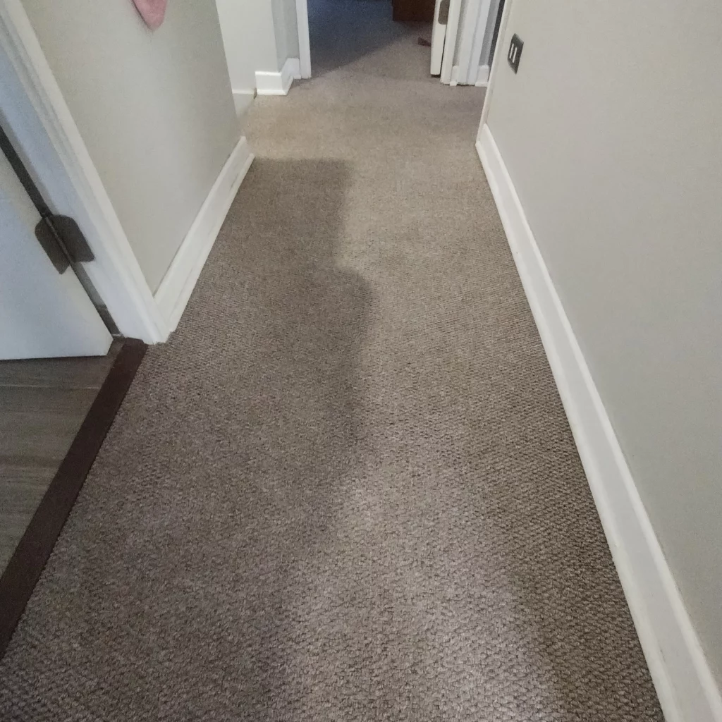 Limpieza de alfombras profesional 13