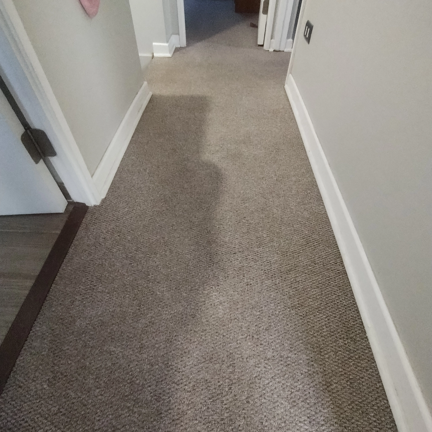 Limpieza de alfombras profesional 13