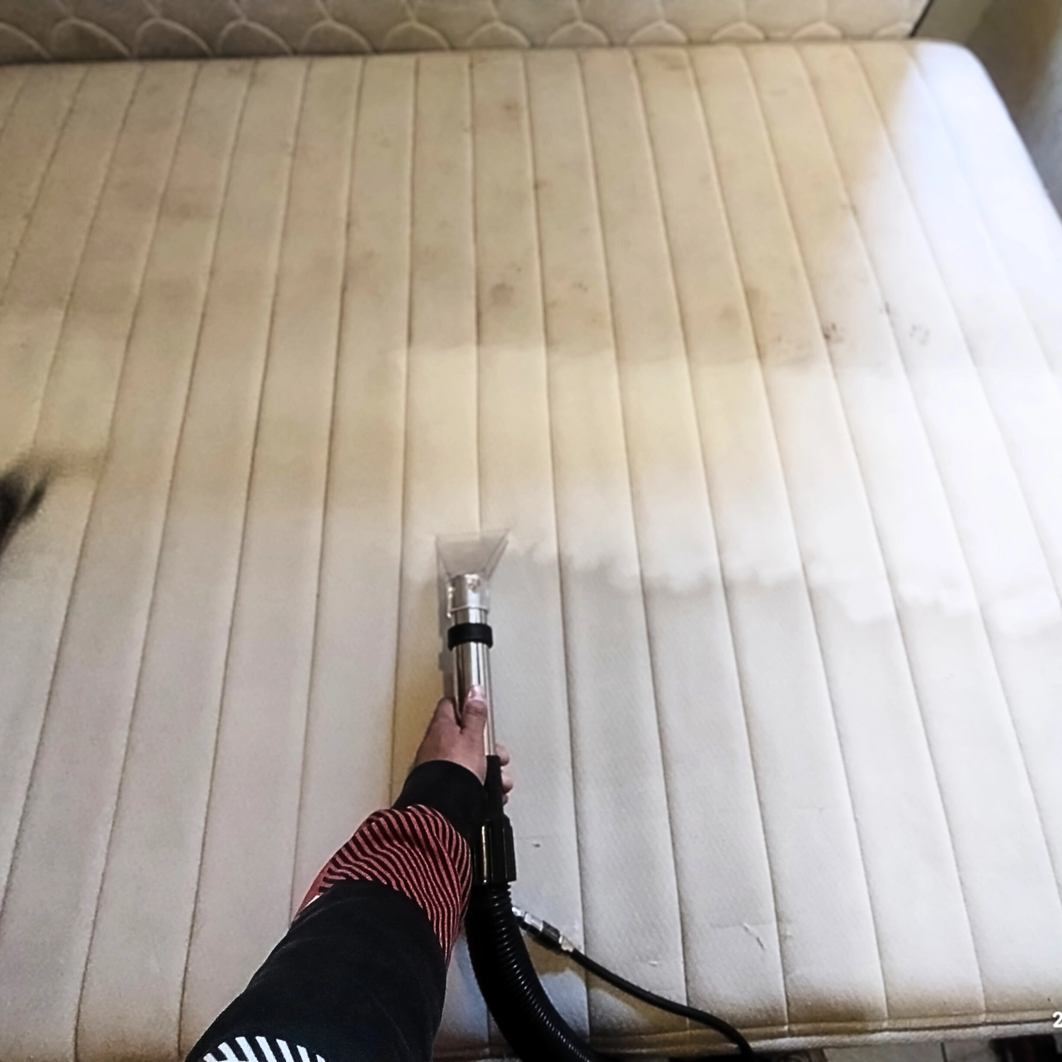 Limpieza profesional a domicilio colchones Santiago