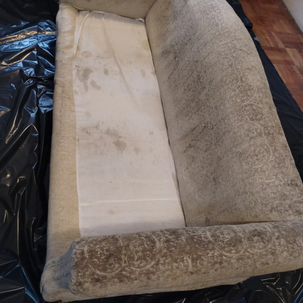 Limpieza de sofa a domicilio 12