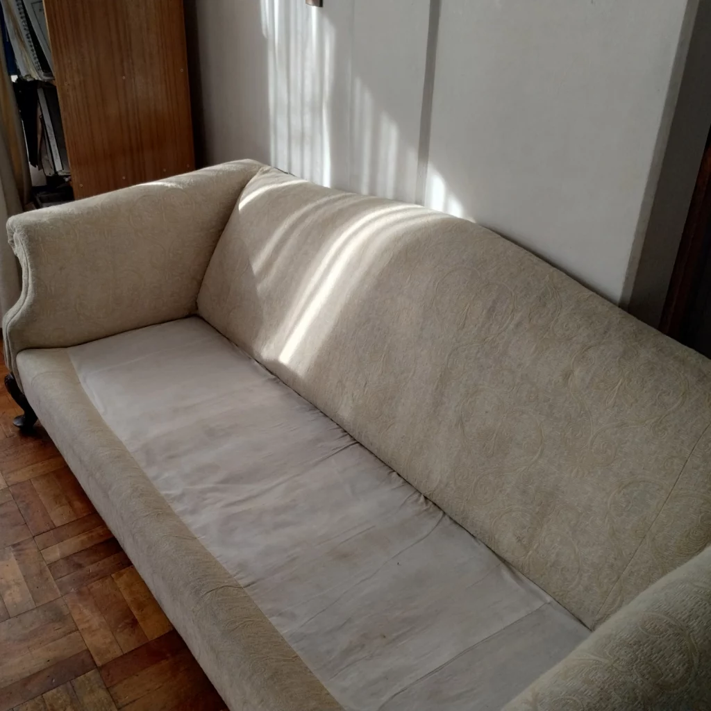 Limpieza de sofa a domicilio 13