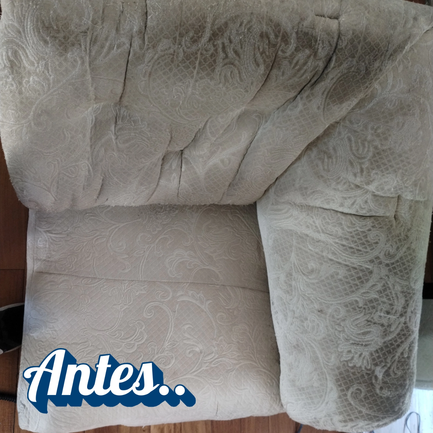 Limpieza de sofa a domicilio 5