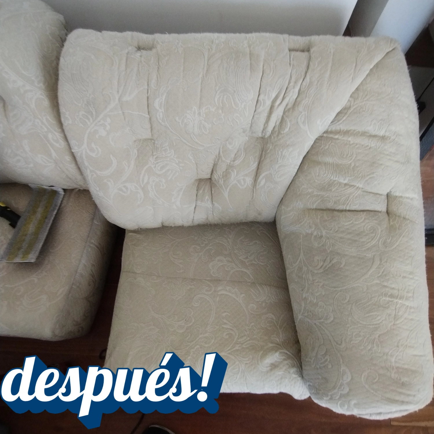Limpieza de sofa a domicilio 7