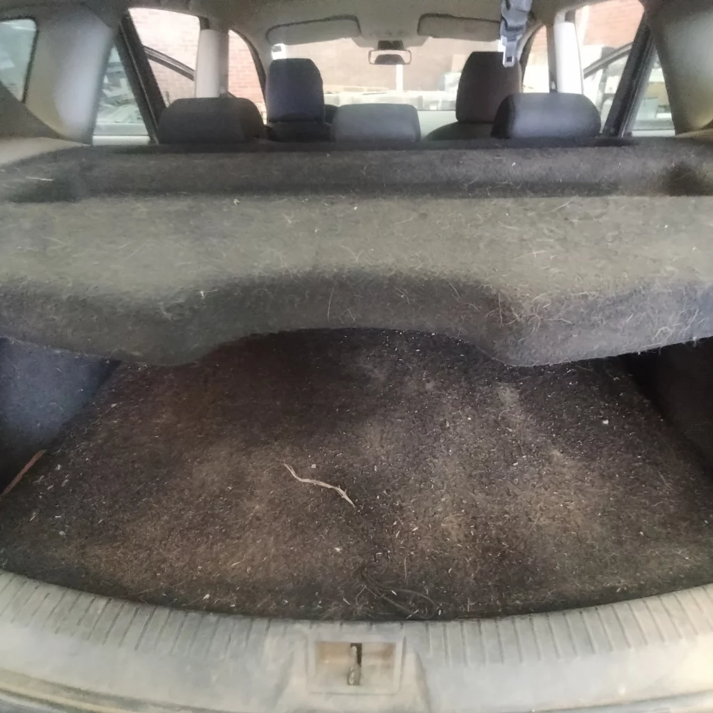 Colchon sucio, alfombra sucia