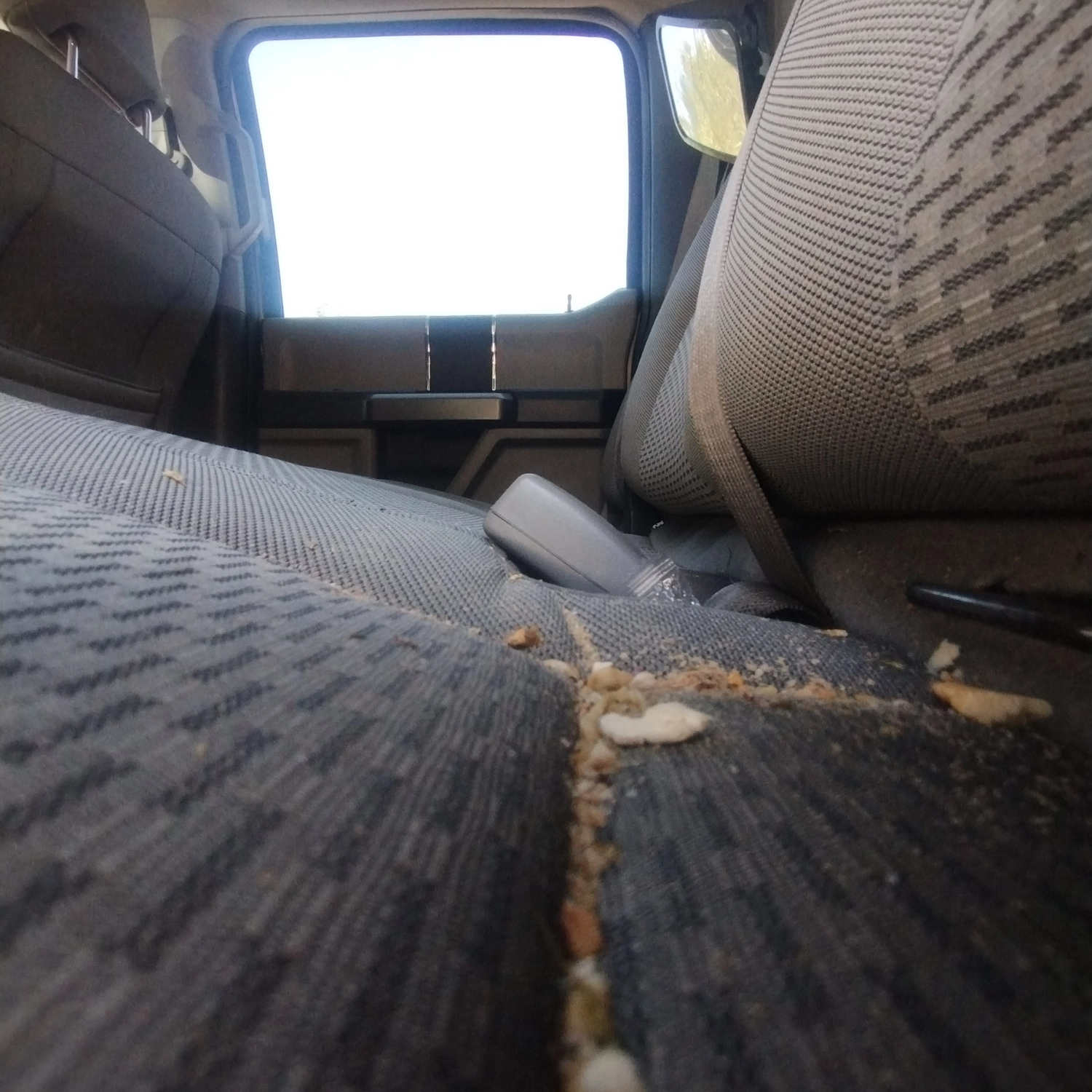 Servicio de limpieza auto 11