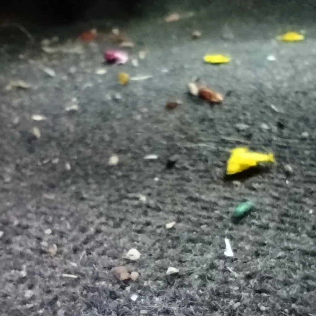 Servicio de limpieza auto 5