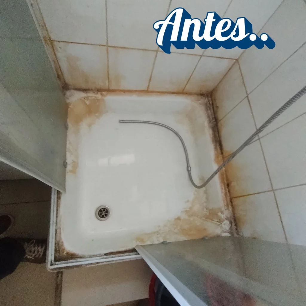 Alfombra sucia, colchón sucio, baño con sarro, baño con hongos