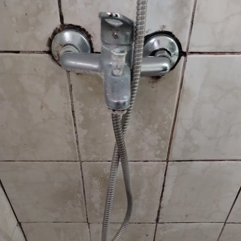 servicio limpieza de baños 10