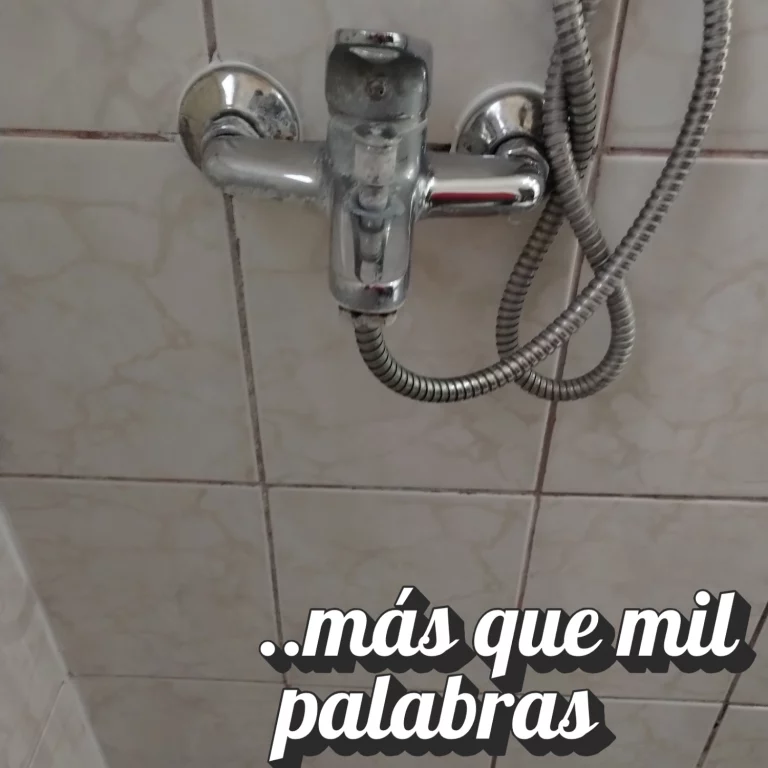 servicio limpieza de baños 11