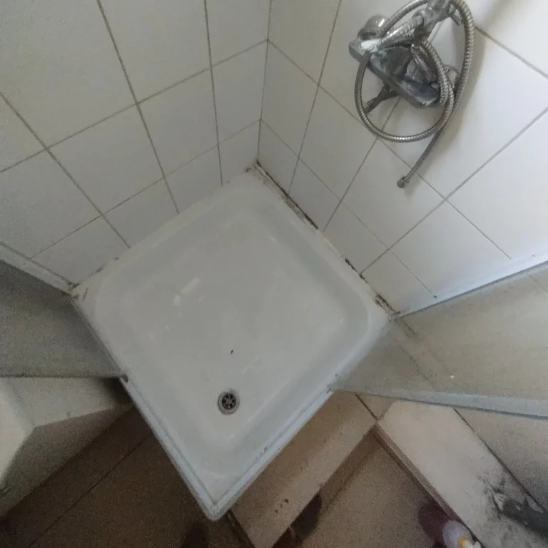 servicio limpieza de baños 2