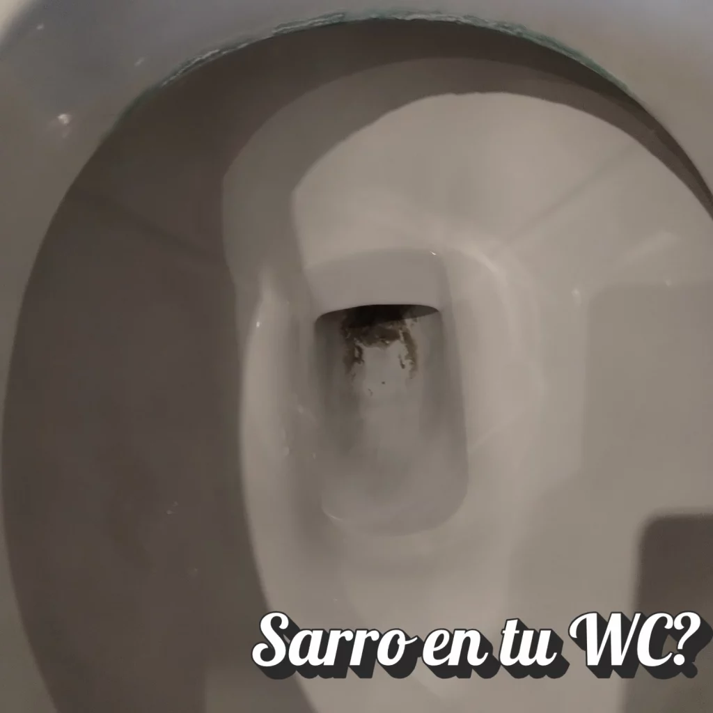 servicio limpieza de baños 6