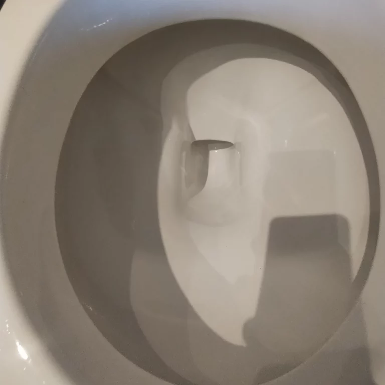 servicio limpieza de baños 7